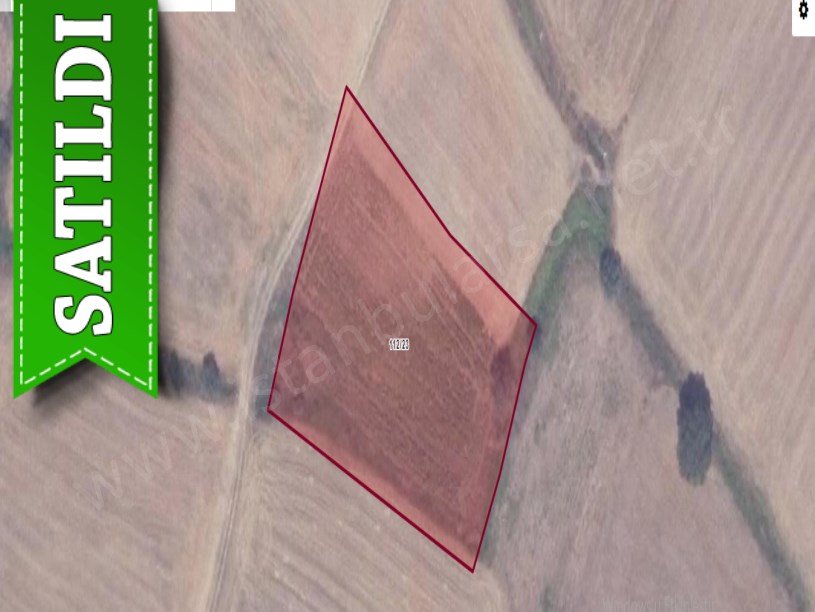 Çatalca Elbasanda Satılık Tarla , 4,471 M2 Yolu Var Müstakil