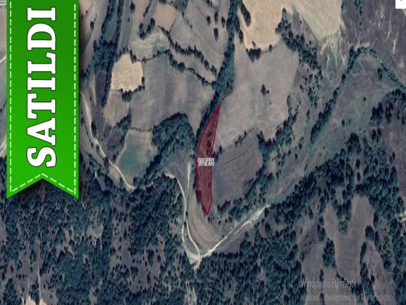 Kırklareli Kofçaz Beyci  Köyünde Satılık Tarla , 4,842 m2 Yolu Var Müstakil