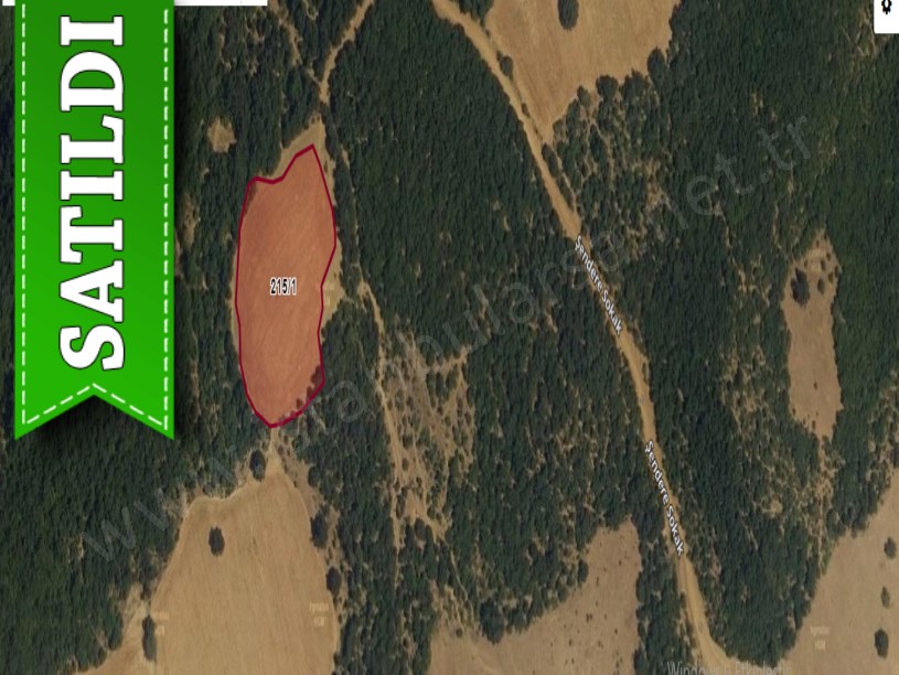 Tekirdağ Şarköy Mursallı Mah, Satılık Tarla , 4,341 m2 Müstakil Yolu Var 