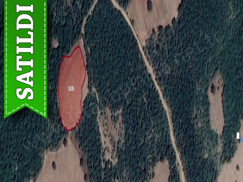Tekirdağ Şarköy Mursallı Mah, Satılık Tarla , 4,341 m2 Müstakil Yolu Var 