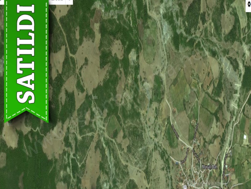 Tekirdağ Şarköy Mursallı Mah, Satılık Tarla , 4,341 m2 Müstakil Yolu Var 