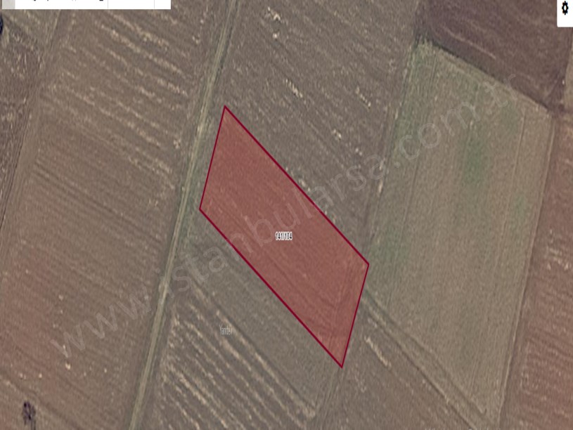 Kırklareli Pınarhisar Sütlüce Satılık Tarla , 2,400 m2 Resmi Yola Cephe Müstakil