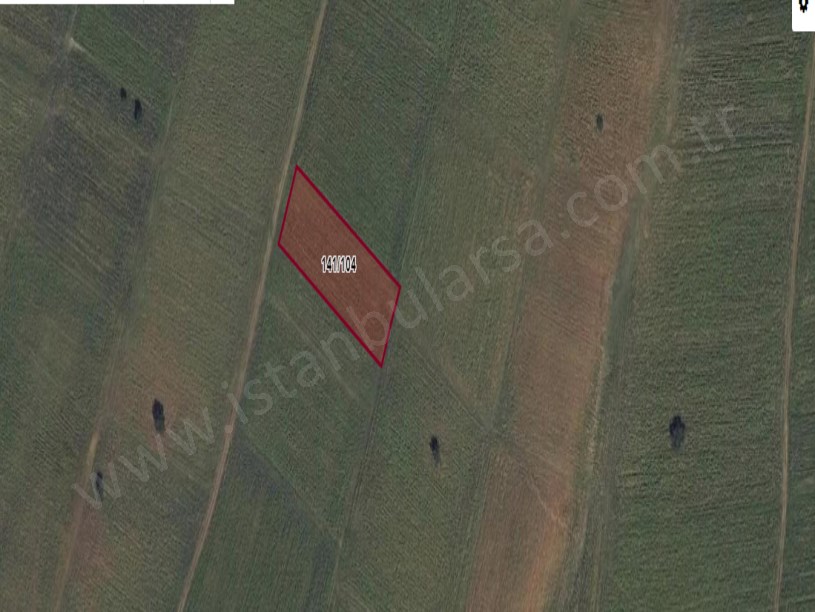 Kırklareli Pınarhisar Sütlüce Satılık Tarla , 2,400 m2 Resmi Yola Cephe Müstakil