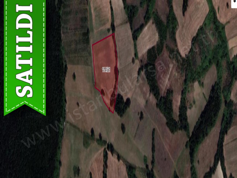Çatalca Celepköyde Satılık Arsa , 295 M2 Hisseli