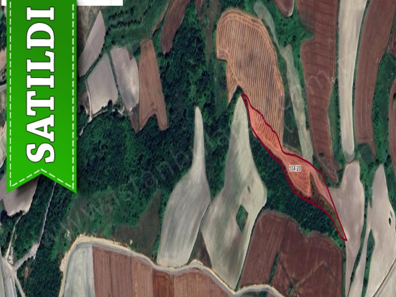 Çatalca Kızılcaalide Satılık Arsa , 302 M2 Hisseli Arsa