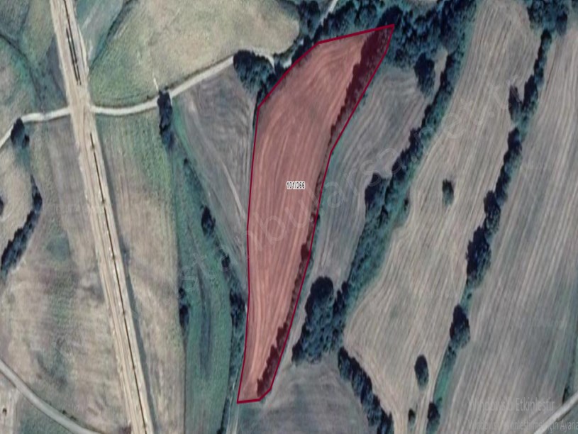 Kırklareli Kofçaz Kocatarla Köyü Satılık Arsa , 401 m2 Yolu Var Çaplı