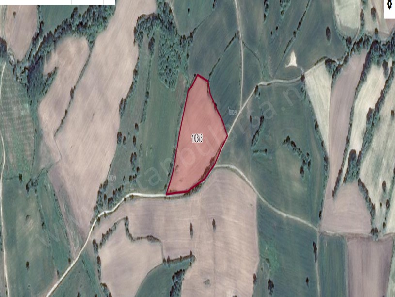 Kırklareli Kofçaz Kocatarla Köyü Satılık Arsa , 1,045 M2 Yolu Var Çaplı Muvafakatnameli