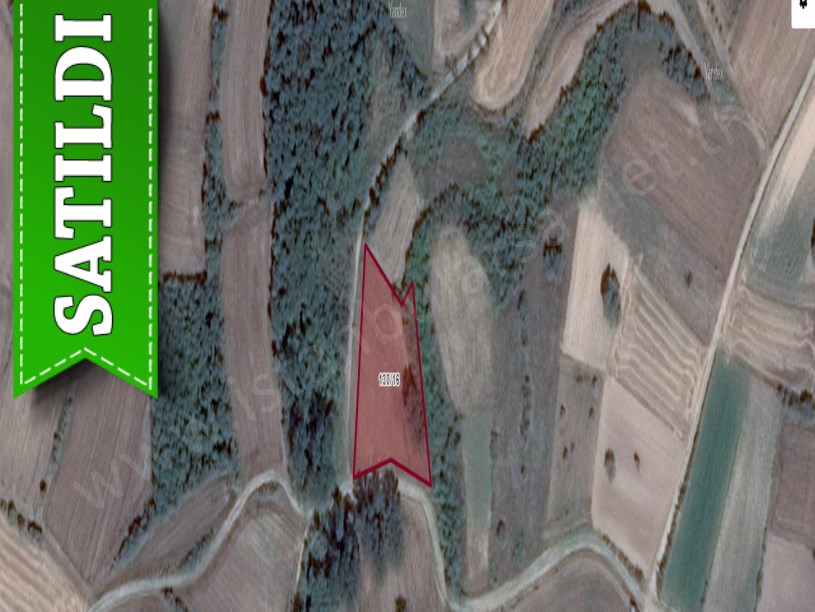Edirne Süloğlu Sülecik Köyünde Satılık Tarla , 2,523 m2 Tek Tapu Müstakil 