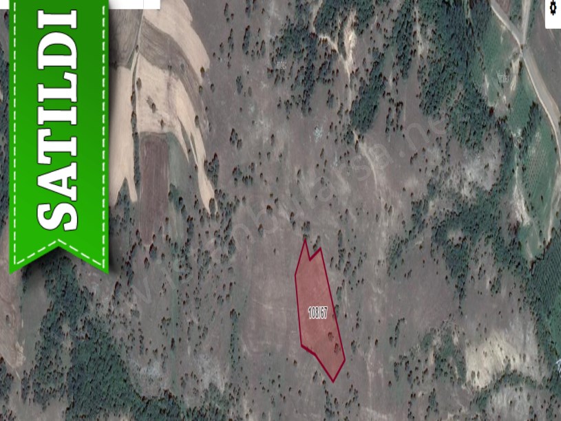 Kırklareli Merkez Kuzulu Köyü Satılık Tarla , 7000 m2 Müstakil Meraya Cephe
