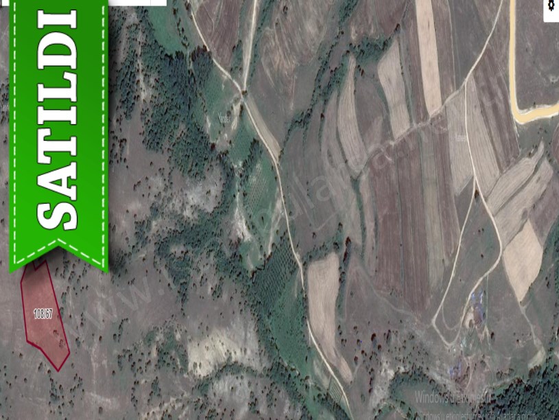 Kırklareli Merkez Kuzulu Köyü Satılık Tarla , 7000 m2 Müstakil Meraya Cephe