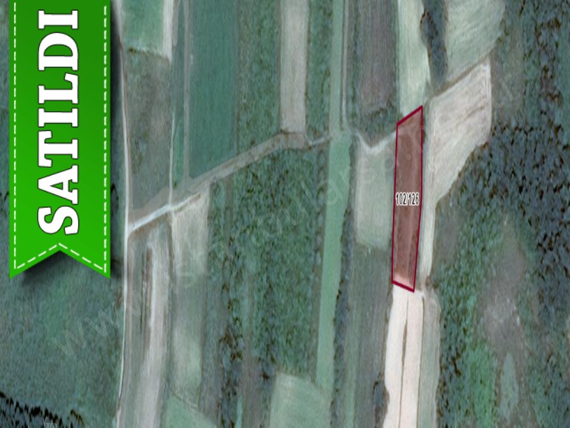 Edirne Merkez Orhaniye Köyünde Satılık Tarla , 1,576 M2 Müstakil Yolu Var