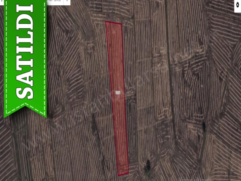Çatalca Ormanlıda Satılık Tarla , 5,750 m2 Müstakil Yolu Var