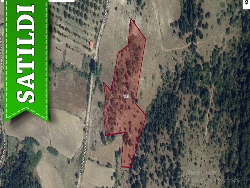 Balıkesir Sındırgı Bayraklı Mah , Satılık Tarla , 10,784 m2 Yolu Var Evlerin Yakını