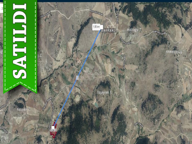Balıkesir Sındırgı Bayraklı Mah , Satılık Tarla , 10,784 m2 Yolu Var Evlerin Yakını