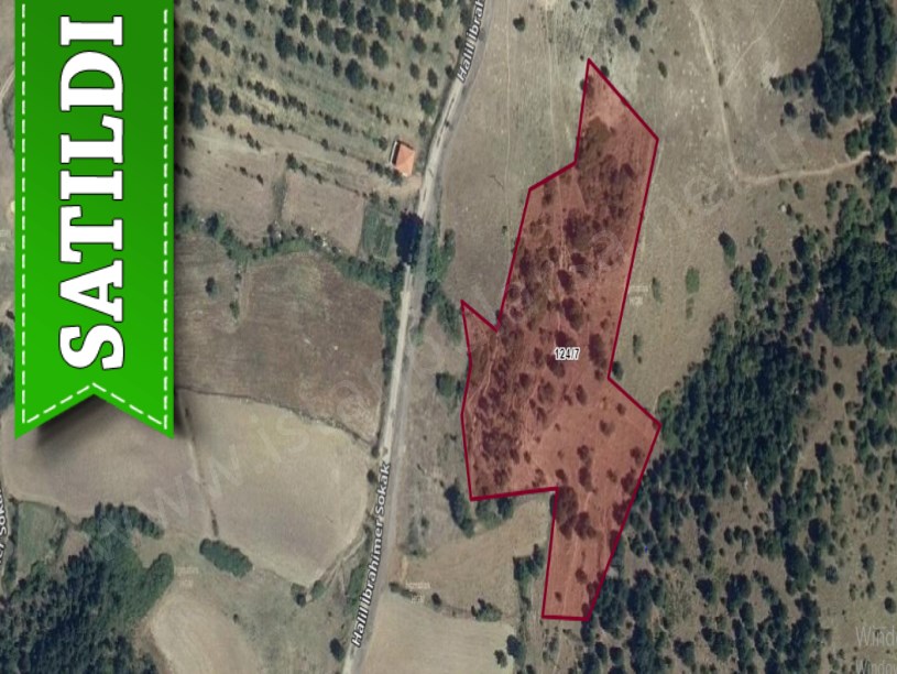 Balıkesir Sındırgı Bayraklı Mah , Satılık Tarla , 10,784 m2 Yolu Var Evlerin Yakını