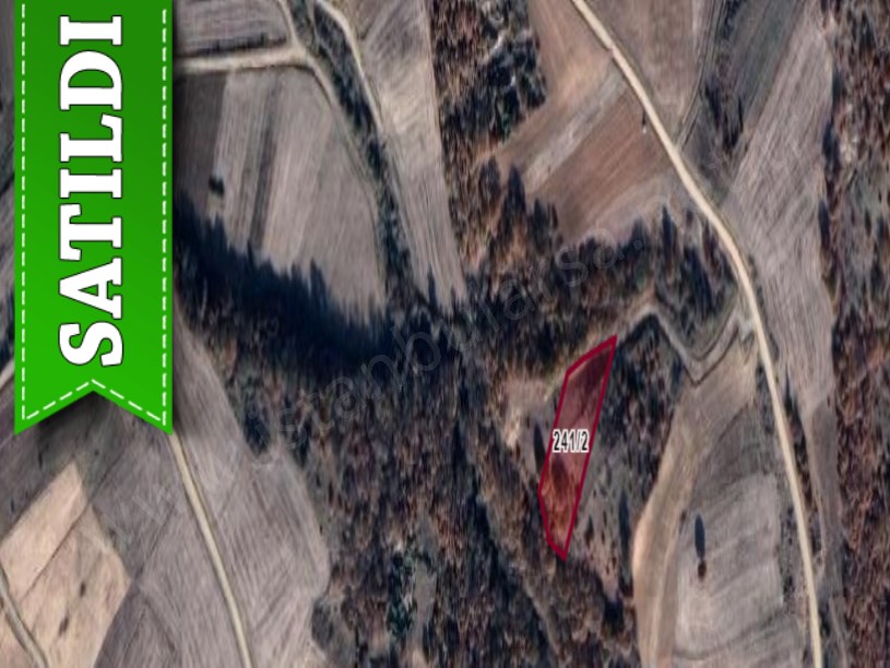 Edirne Meriç Hasırcıarnavutköyde Satılık Tarla , 2,268 m2 Müstakil Yolu Var