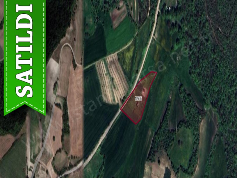 Çatalca Yazlıkköyde Satılık Arsa , 481 M2 Çaplı Çevrili Evlerin Yakını