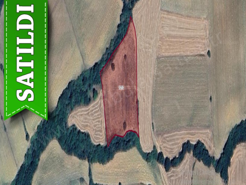 Kırklareli Lüleburgaz Ceylanköyde Satılık Arsa , 500 m2 Çaplı Hisseli 