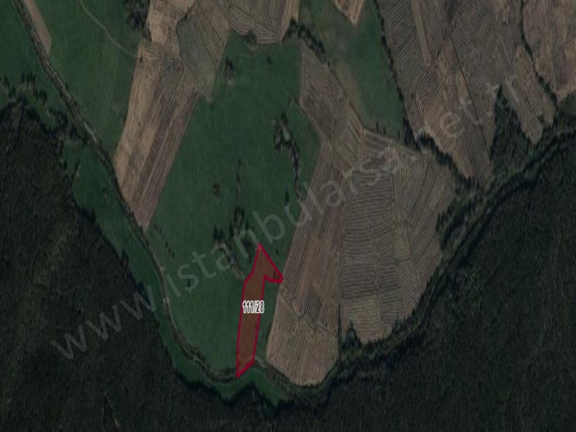 Çatalca Ormanlıda Satılık Arsa , 1,265 M2 Çaplı Hisseli