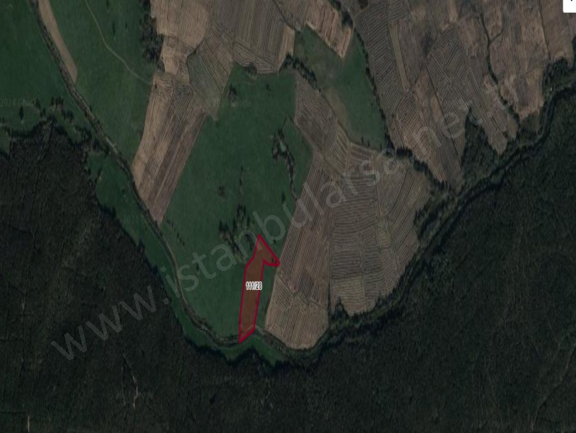 Çatalca Ormanlıda Satılık Arsa , 1,265 M2 Çaplı Hisseli