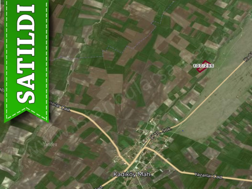 Tekirdağ Saray Kadıköyde Satılık Tarla , 15,800 m2 Yolu Var Müstakil Çiftlik Mevcut İçinde
