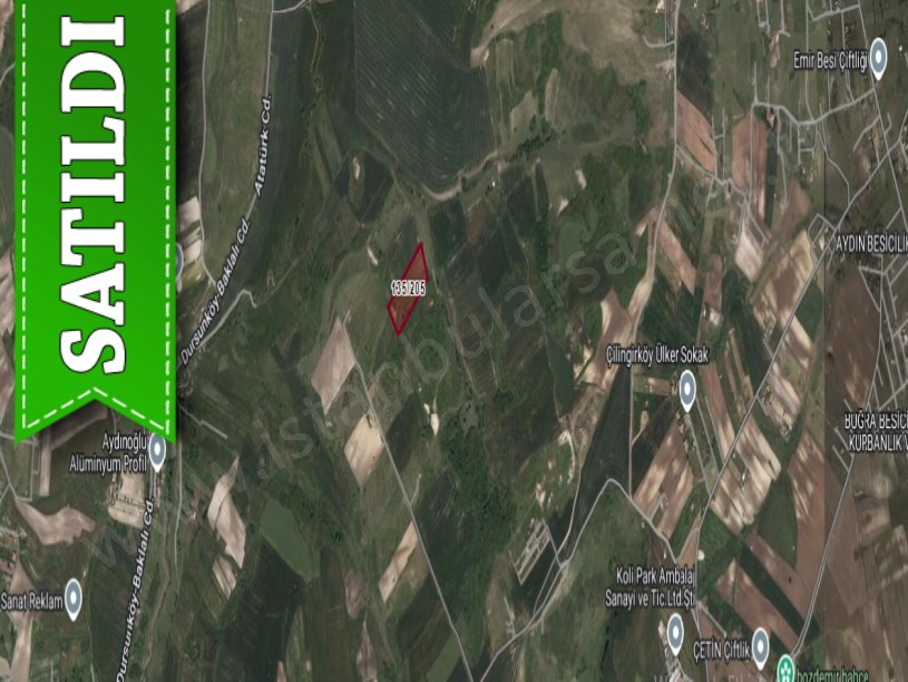 Arnavutköy Dursunköyde Satılık Arsa , 203 M2 Evlerin Yakını Yolu Var