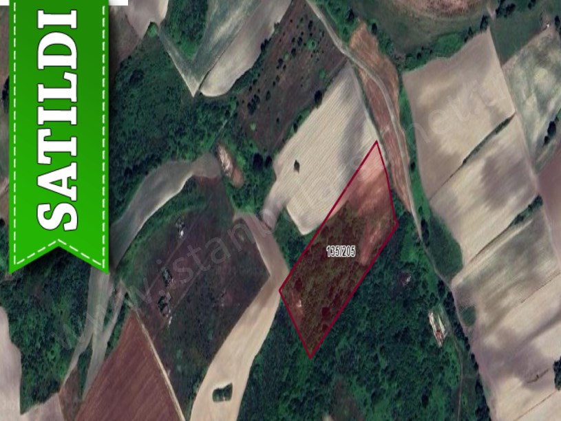 Arnavutköy Dursunköyde Satılık Arsa , 203 M2 Evlerin Yakını Yolu Var