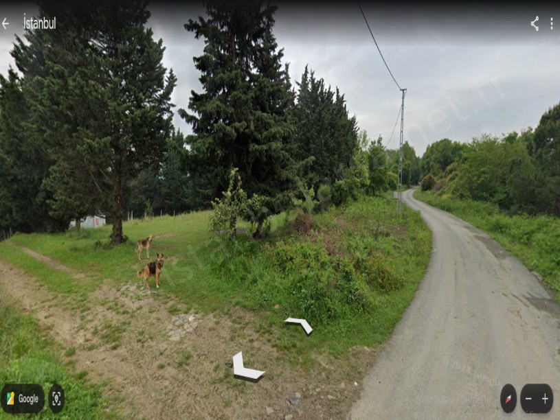 Arnavutköy Tayakadın Satılık Arsa , 418 M2 Çevrili Hisseli Yolu Var