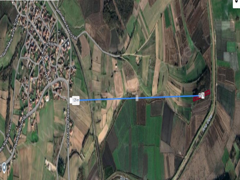 Edirne  Uzunköprü Sazlımalkoç Köyünde Satılık Tarla , 2 Dönüm Tek Tapu 