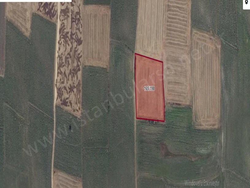 Tekirdağ Hayrabolu Şalgamlı,da Satılık Tarla , 4,738 M2 Müstakil Köy İçi Yolu Var