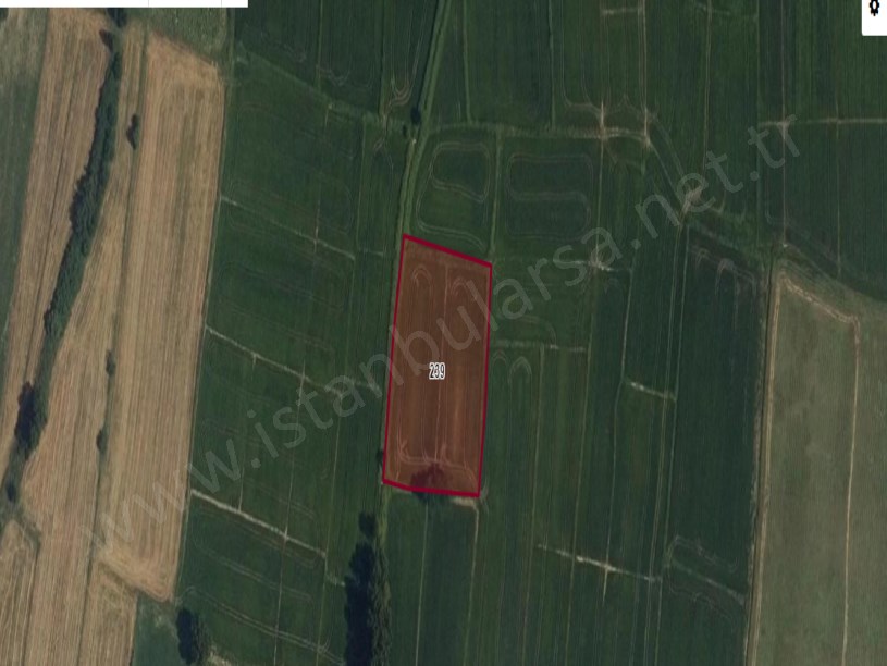 Tekirdağ Hayrabolu Hedeylide Satılık Tarla , 4,500 m2 Tek Tapu Köy İçi