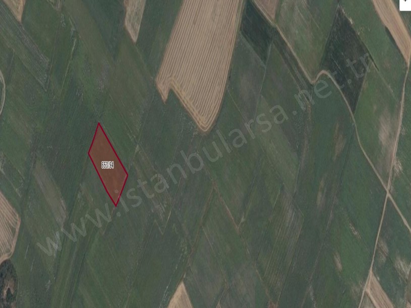 Kırklareli Vize Devlet Mah , Satılık Tarla , 5,325 m2 Müstakil 