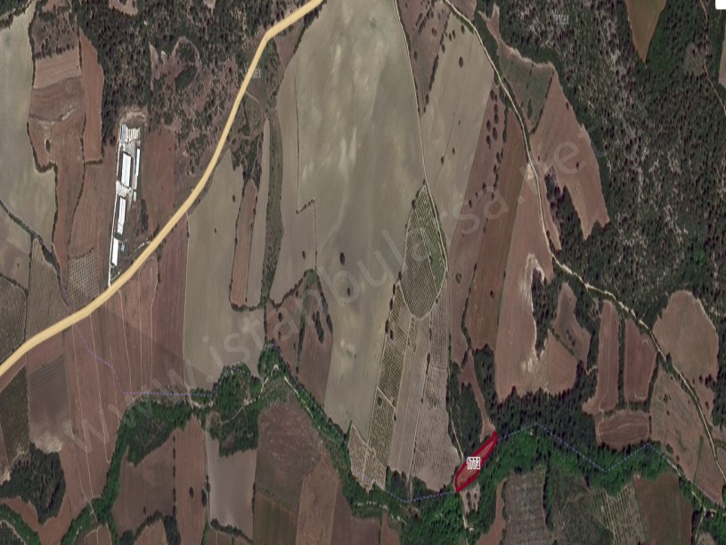 Çanakkale Lapseki Kangırlı Köyü Satılık Tarla , 2,800 m2 Müstakil Denize Yakın Yolu Var