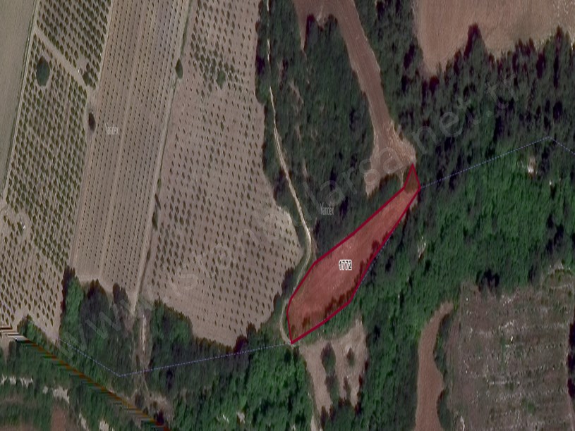 Çanakkale Lapseki Kangırlı Köyü Satılık Tarla , 2,800 m2 Müstakil Denize Yakın Yolu Var