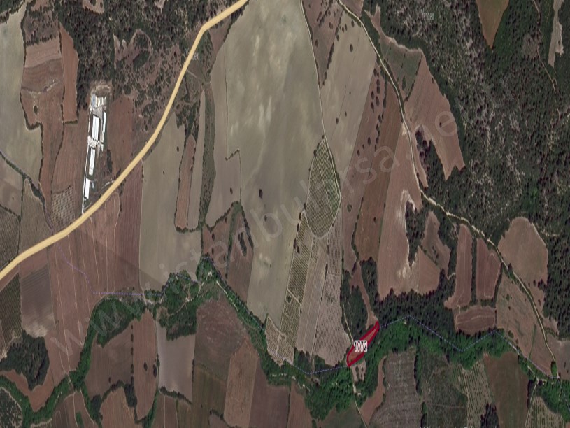 Çanakkale Lapseki Kangırlı Köyü Satılık Tarla , 2,800 m2 Müstakil Denize Yakın Yolu Var
