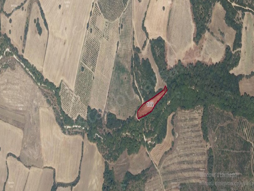 Çanakkale Lapseki Kangırlı Köyü Satılık Tarla , 2,800 m2 Müstakil Denize Yakın Yolu Var