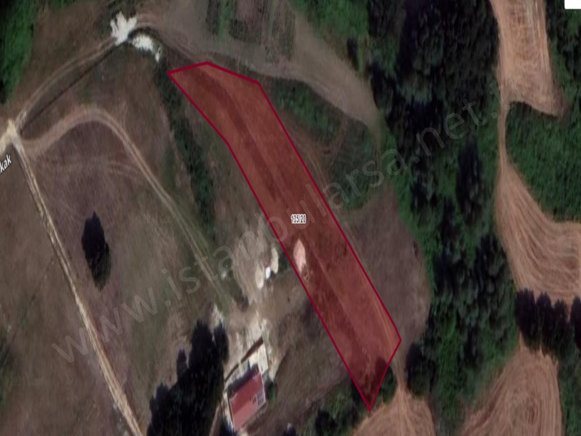 Çatalca Örencikte Satılık Tarla , 2,390 m2 Müstakil Yolu Var Evlerin Yakını