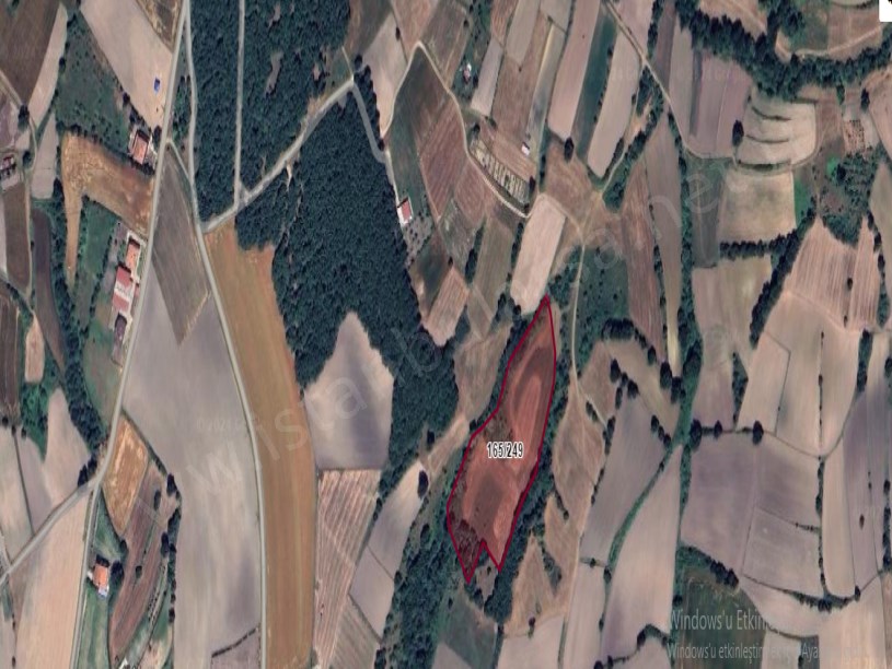 Tekirdağ Saray Küçükyoncalı Mah , Satılık Tarla , 12,242 M2 Müstakil Yolu Var Evlerin Yakını