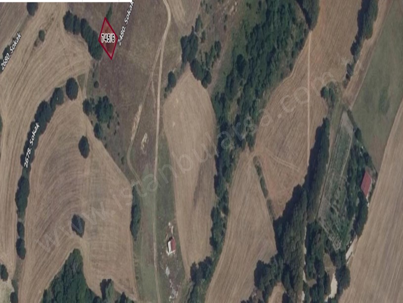 Tekirdağ Saray Büyükyoncalı Mah Satılık Arsa , 308 M2 Müstakil Yolu Var