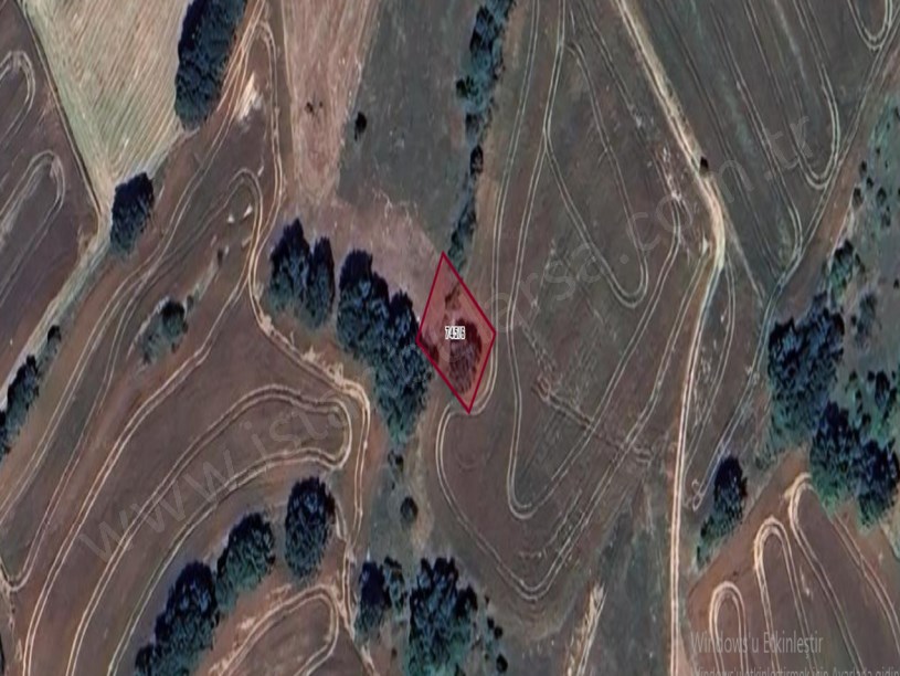 Tekirdağ Saray Büyükyoncalı Mah Satılık Arsa , 308 M2 Müstakil Yolu Var