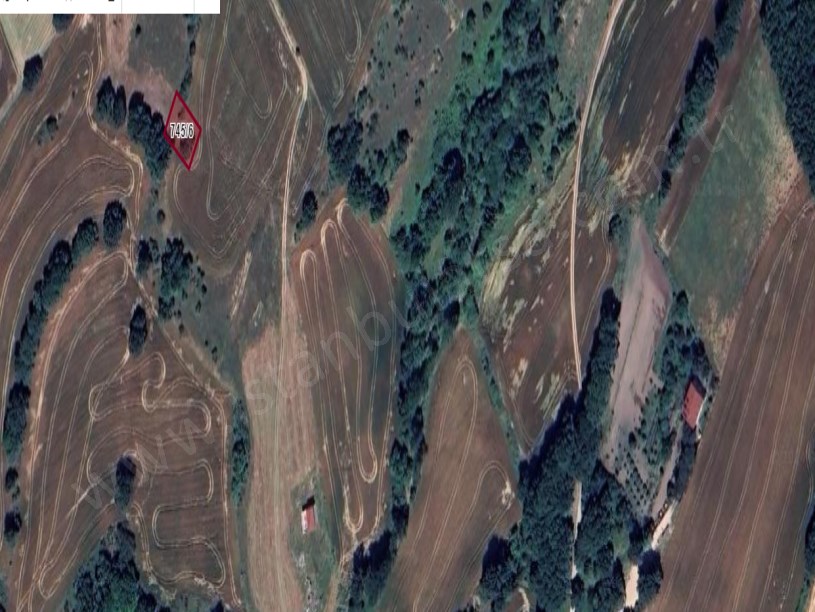 Tekirdağ Saray Büyükyoncalı Mah Satılık Arsa , 308 M2 Müstakil Yolu Var