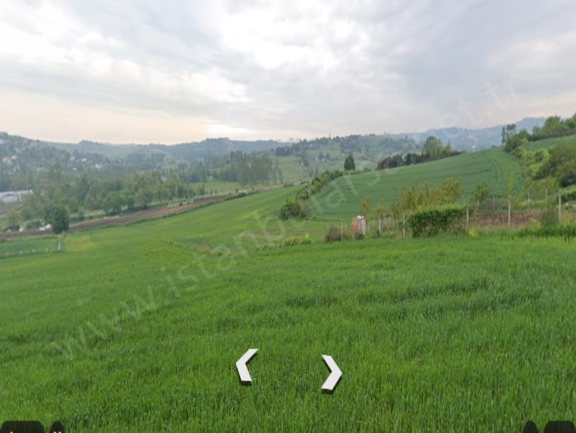 Arnavutköy Tayakadın Satılık Arsa , 1,970 M2 Yolu Var Evlerin Yakını Hisseli