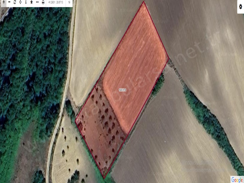 Arnavutköy Tayakadın Satılık Arsa , 1,970 M2 Yolu Var Evlerin Yakını Hisseli
