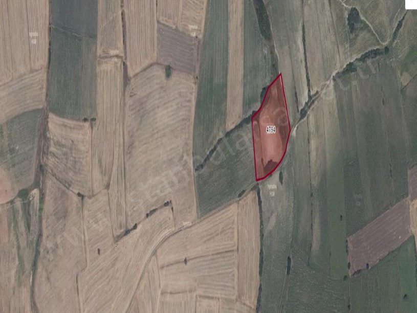 Edirne Uzunköprü Kurtbeyde Satılık Arsa , 345 M2 Yolu Var Hisseli 