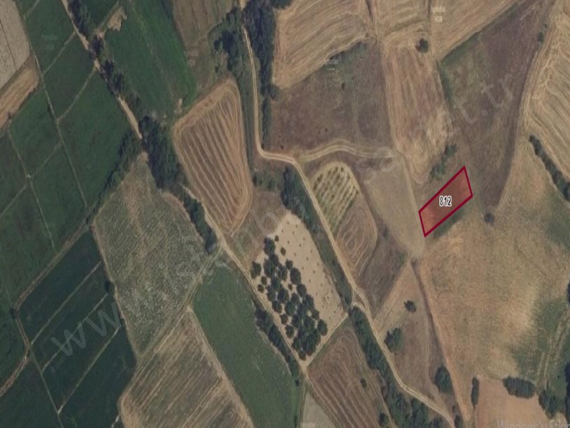 Edirne Havsa Tahal Köyünde Satılık Tarla , 506 m2 Müstakil 