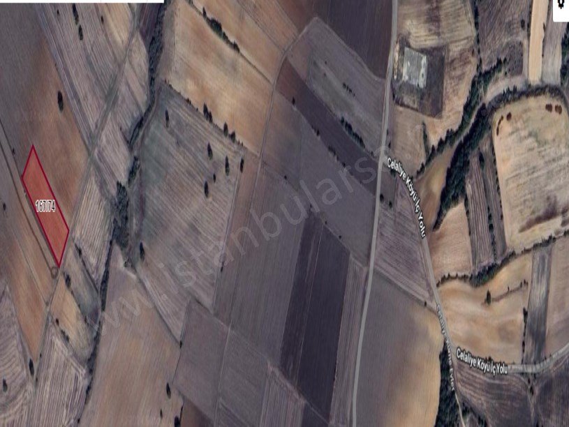 Kırklareli Lüleburgaz Celaliyede Satılık Tarla , 4,019 M2 Müstakil Yolu Var