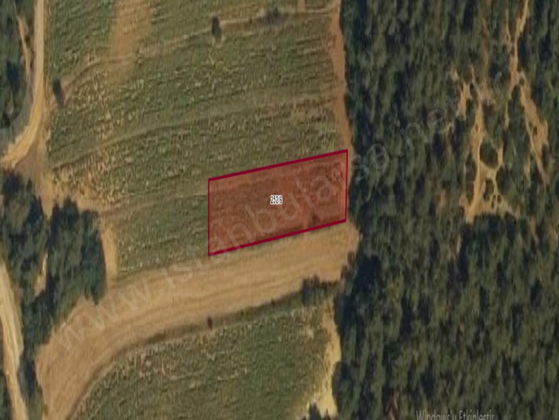 Edirne Keşan Pırnar Köyü Satılık Tarla , 1,185 m2 Müstakil Etrafı Ağaçlarla Çevrili 