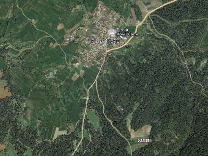 Edirne Keşan Pırnar Köyü Satılık Tarla , 1,185 m2 Müstakil Etrafı Ağaçlarla Çevrili 
