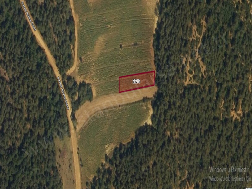 Edirne Keşan Pırnar Köyü Satılık Tarla , 1,185 m2 Müstakil Etrafı Ağaçlarla Çevrili 