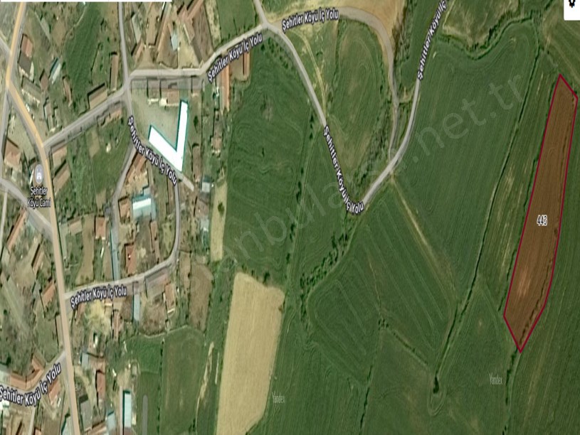 Edirne Enez Şehitler Köyü Satılık Tarla , 4 Dönüm Müstakil Resmi Yolu Var